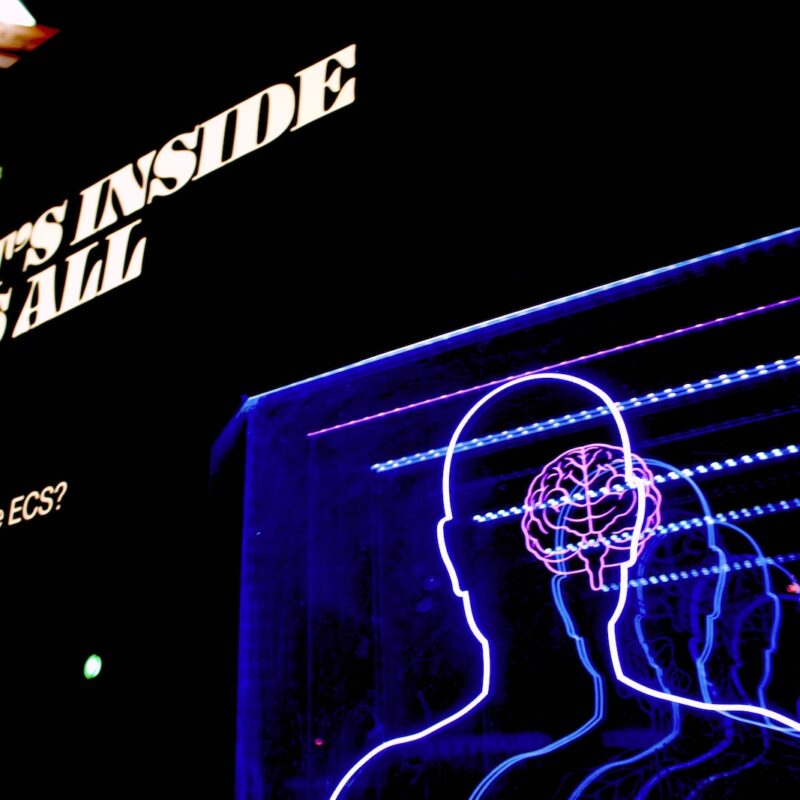 a neon display of a man's head and brain