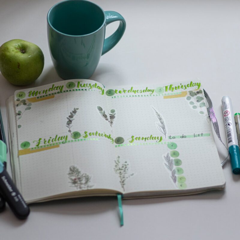 green ceramic mug beside black click pen on white and green book